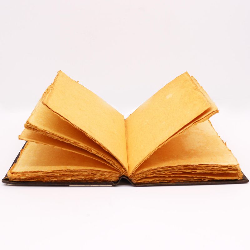 Hefty Red Tan Buch – Rosa Rosendekor – 200 Seiten mit Büttenrändern – 26 x 18 cm