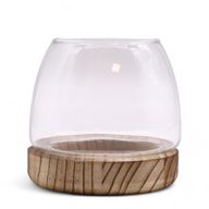 Kleines Terrarium auf natürlichem Tungholz - 13x13cm