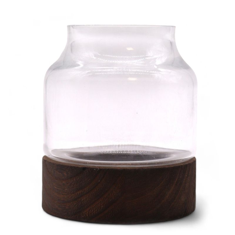 Kleines geformtes Terrarium auf dunklem Tungholz – 12 x 13 cm