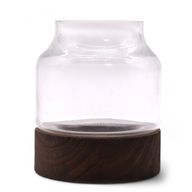 Kleines geformtes Terrarium auf dunklem Tungholz – 12 x 13 cm