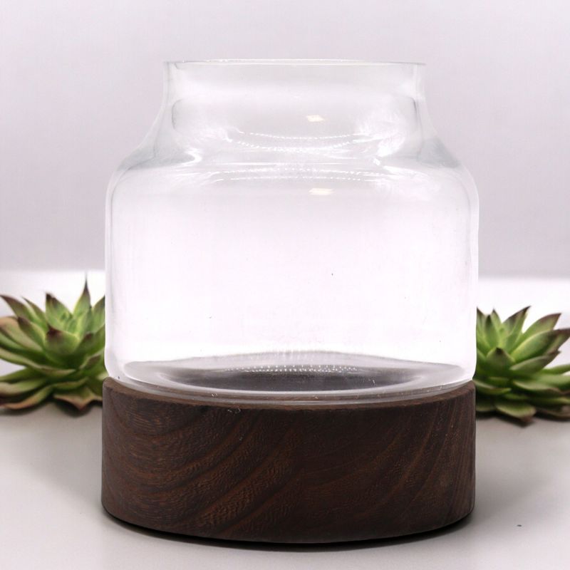 Kleines geformtes Terrarium auf dunklem Tungholz – 12 x 13 cm