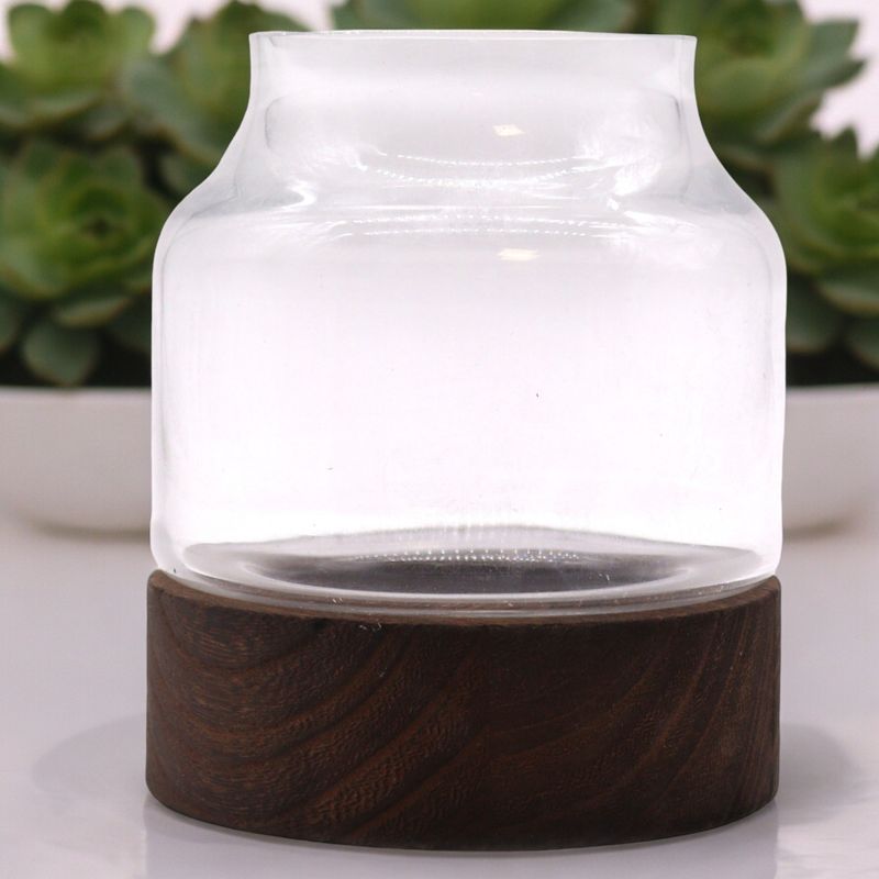 Mittelgroßes Terrarium aus dunklem Tungholz – 16 x 18 cm