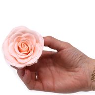 Seifenblume zum Basteln – Groß (7-lagig) Vintage Rose – Edwardian Blush