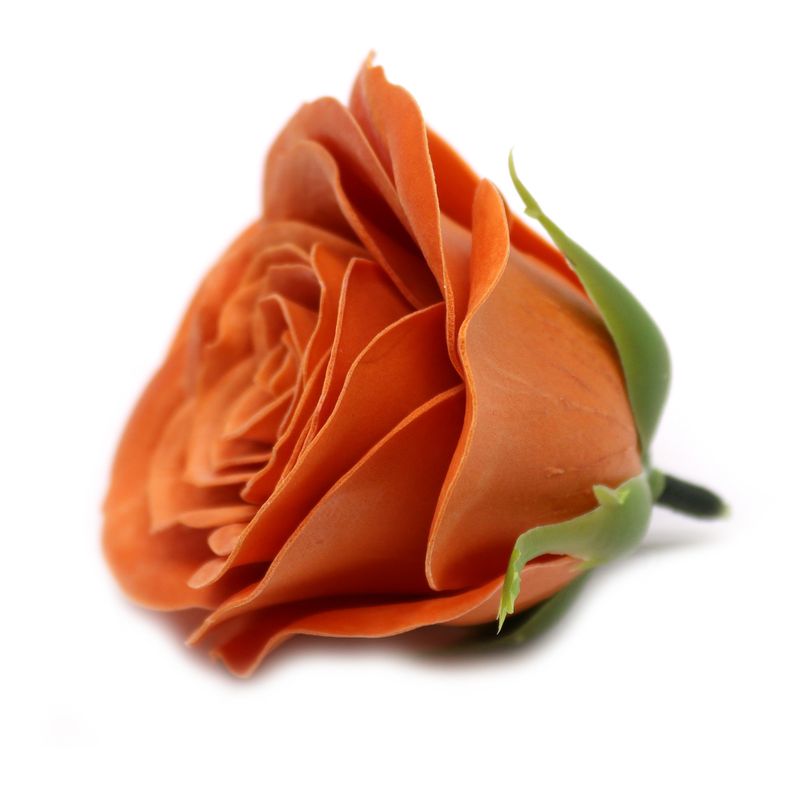 Seifenblume zum Basteln – Groß (7-lagig) Vintage Rose – Java Nelke