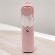 Pinker Nano Mist Gesichtsventilator und -spray – über USB wiederaufladbar