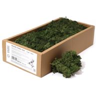 Hochwertiges Deko Islandmoos - Grasgrün - 500g Box