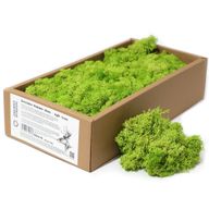 Hochwertiges Dekoration Islandermoos - Helles Gras - 635g Box