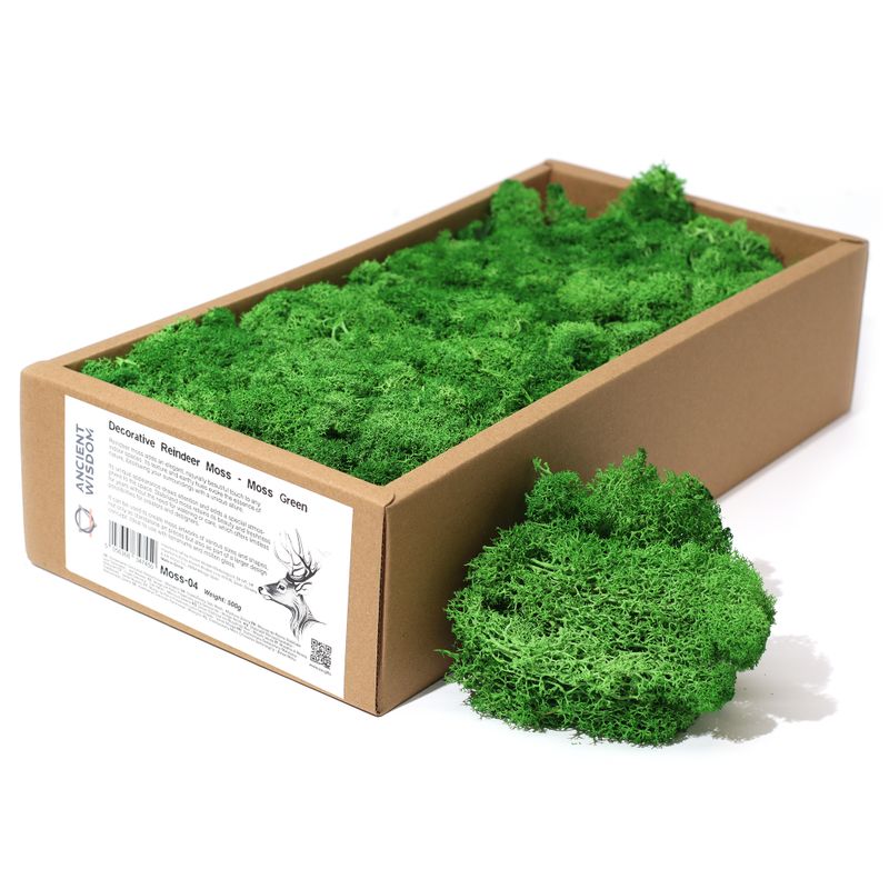 Hochwertiges Dekoration Islandmoos - Moosgrün - 635g Box