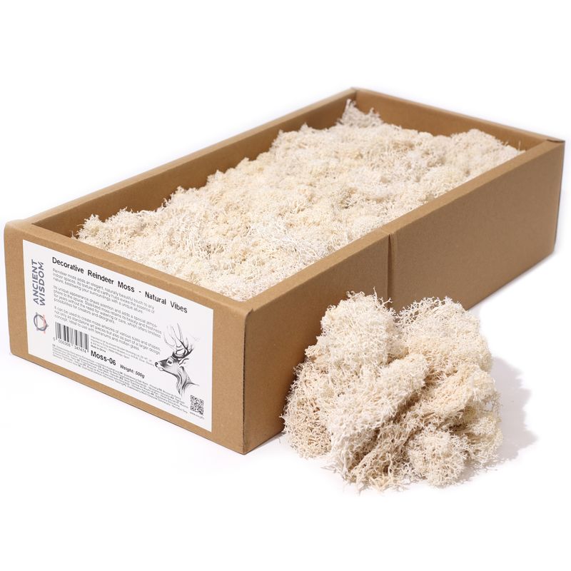 Hochwertiges Dekoration Islandmoos - Natural Vibes - 635g Box