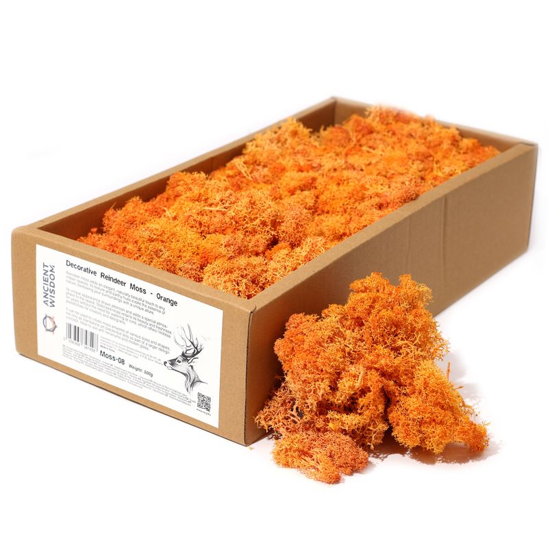 Hochwertiges Dekoration Islandmoos - Orange - 635g Box