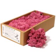 Hochwertige Dekoration Islandmoos - Rosa- 635g Box