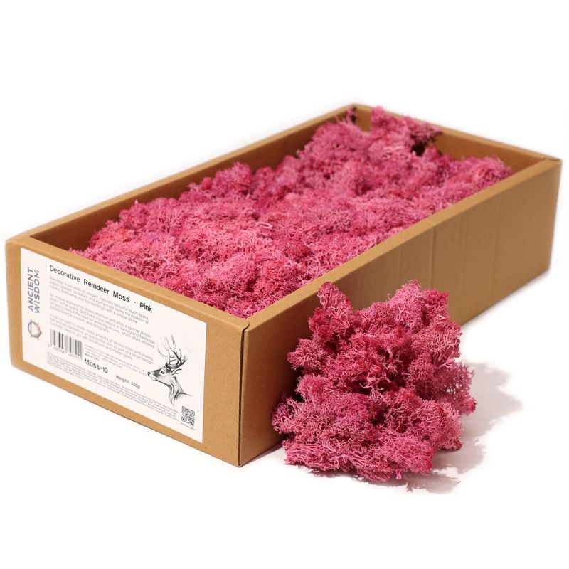 Hochwertige Dekoration Islandmoos - Rosa- 635g Box