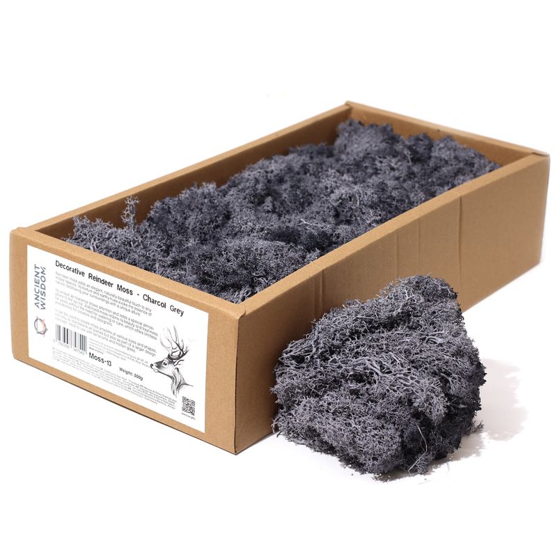 Hochwertige Dekoration Islandmoos - Anthrazit - 635g Box