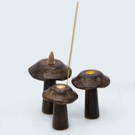 Set mit 3 flachen Räucherkegelpilzen (13 cm, 12 cm, 11 cm).