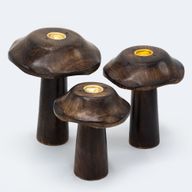 Set mit 3 flachen Räucherkegelpilzen (13 cm, 12 cm, 11 cm).