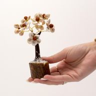 Med Gomati Chakra Kreis Steinbäume mit Rudraksha - (45 Steine)