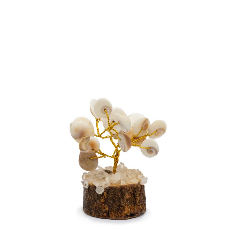 Kleine Gomati-Chakra-Kreissteinbäume mit Rudraksha – (15 Steine)