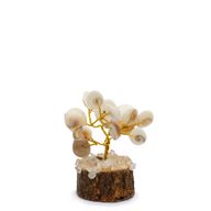 Kleine Gomati-Chakra-Kreissteinbäume mit Rudraksha – (15 Steine)