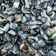L Trommelsteine – Versteinertes Holz Schwarz