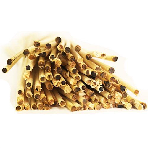 Dünne 2 mm Indo Reeds - ca. 100 Stäbchen