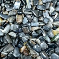 L Trommelsteine – Versteinertes Holz Schwarz