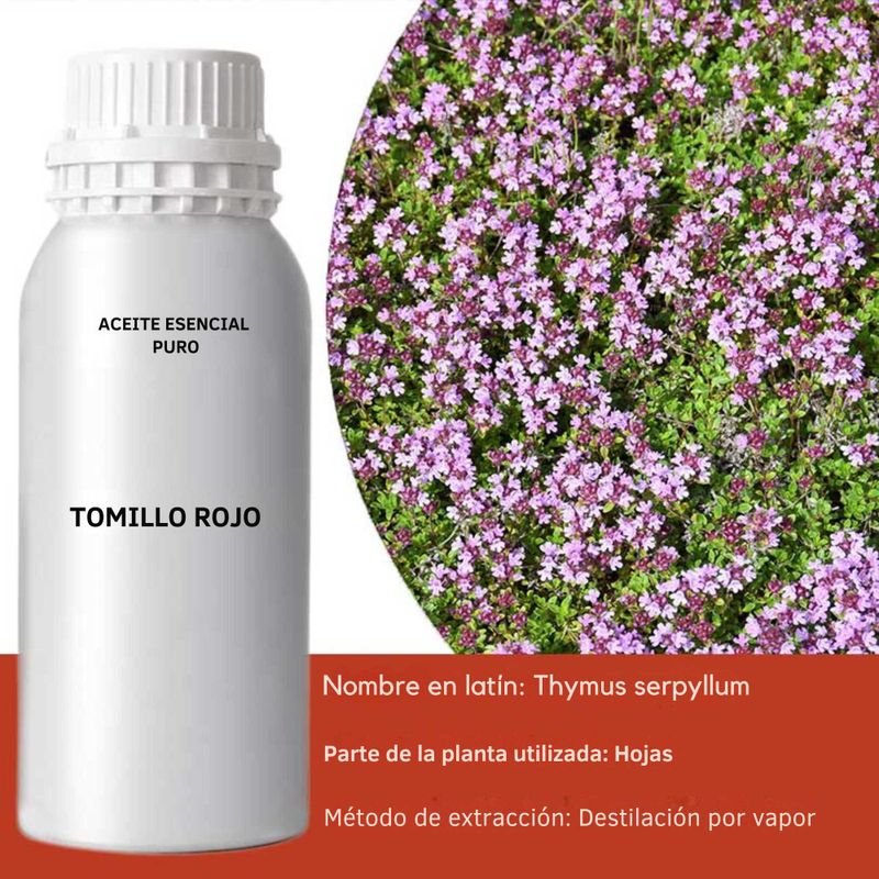 Roter Thymian ätherisches Öl - Großhandel - 0,5 kg
