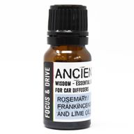 Auto-Aromatherapie-Starterset