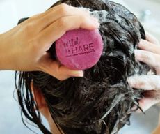 Festes Shampoo - Starter