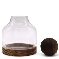 Mittleres Terrarium mit Kugeldeckel auf dunklem Tungholz – 17 x 22 cm