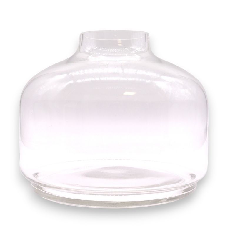 Ehemaliges großes Terrarium mit Kugeldeckel auf dunklem Tungholz – 23 x 23 cm