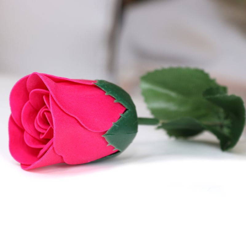 Seifenblume - Kleine rote Rose