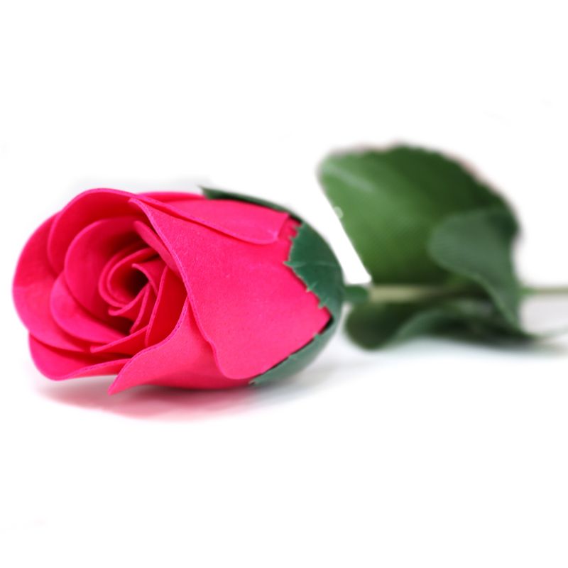 Seifenblume - Kleine rote Rose