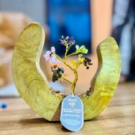 Edelstein-Baumgarten – offener Ring aus Mangoholz – Sieben Chakra – 60 Chipstones