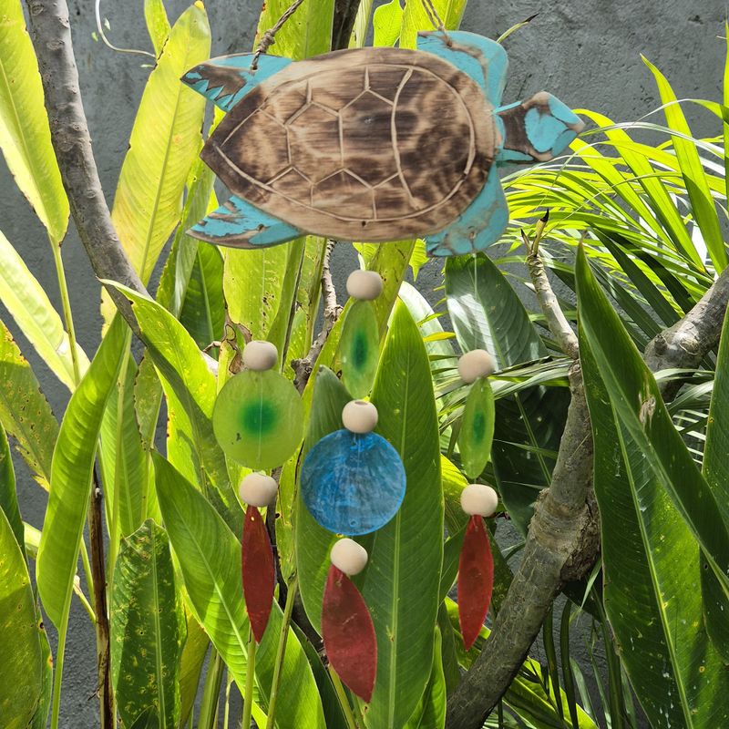 Aqua Turtle Carving und Copis Drop