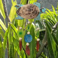 Aqua Turtle Carving und Copis Drop
