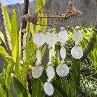 String Fish und Natural Copis Drop