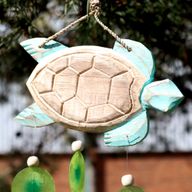 Aqua Turtle Carving und Copis Drop