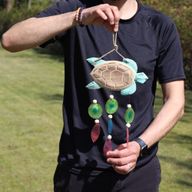 Aqua Turtle Carving und Copis Drop