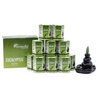 Packung mit 10 Masala Backflow-Räucherstäbchen – Eukalyptus