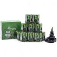 Packung mit 10 Masala Backflow-Räucherstäbchen – Regenwald