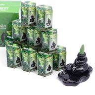 Packung mit 10 Masala Backflow-Räucherstäbchen – Regenwald