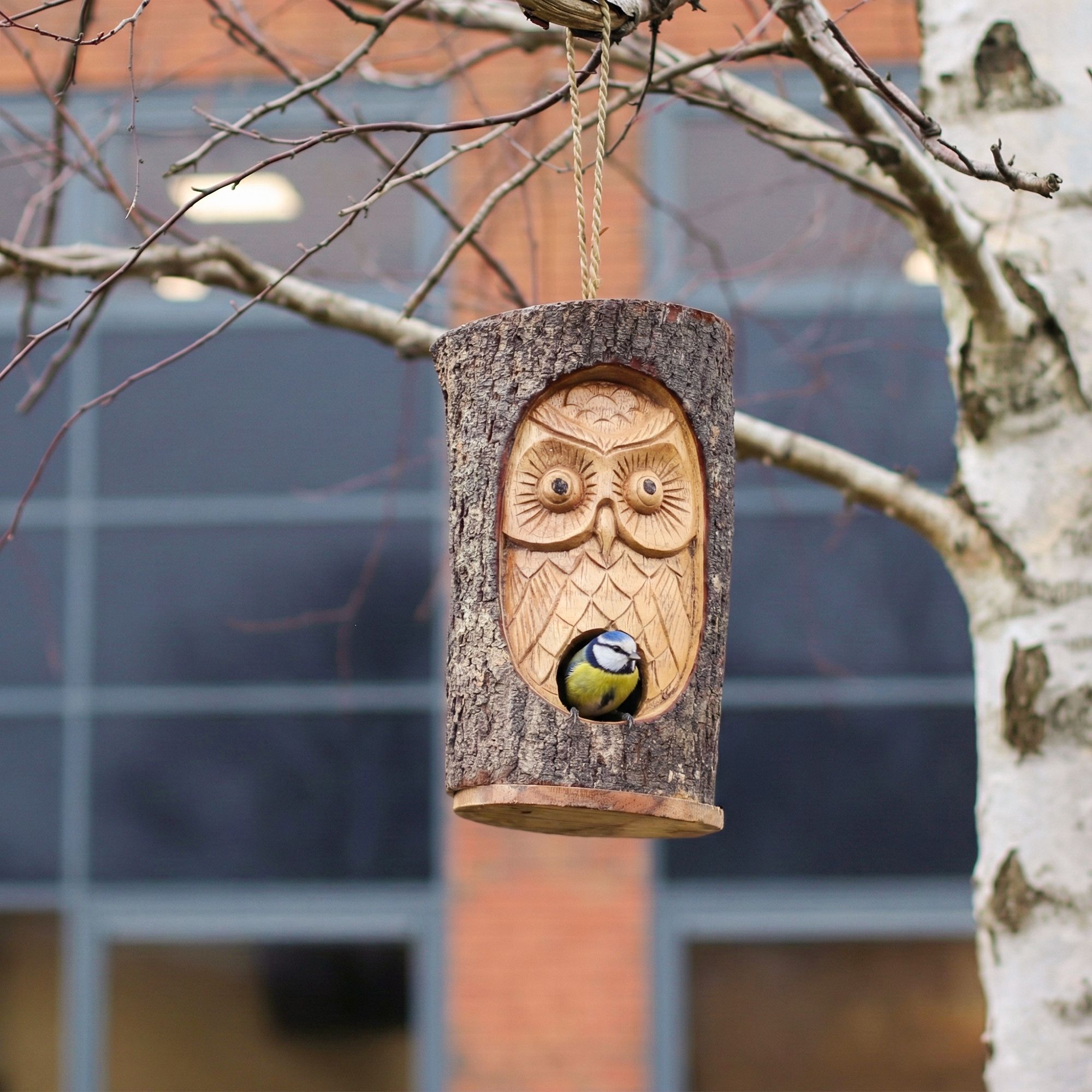 Natürliche Vogelhäuser