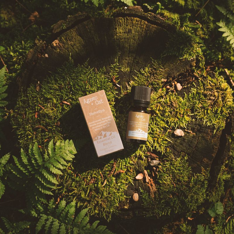 Ätherische Ölmischung - Skiddaw Box - Orange, Lavendel & Fichte