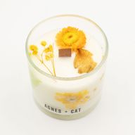 Agnes & Cat Botanische Sojakerze - Rydal Oudh