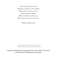 Agnes & Cat Botanische Sojakerze – Stille Wasser von Windermere