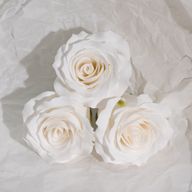 Seifenblume (5-lagig) Romantische Rose - Weiß