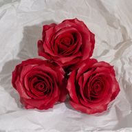 Seifenblume (5-lagig) Romantische Rose - Weinrot