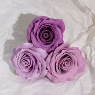 Seifenblume (5-lagig) Romantische Rose – abgestufte Auswahl – Lavendel-Rouge