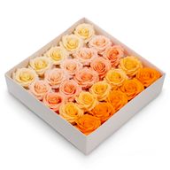 Seifenblume (5-lagig) Romantische Rose – abgestufte Auswahl – Pfirsichrot
