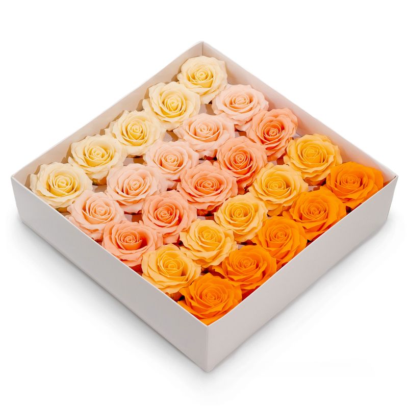 Seifenblume (5-lagig) Romantische Rose – abgestufte Auswahl – Pfirsichrot